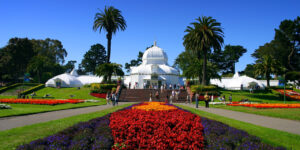 Golden Gate Park